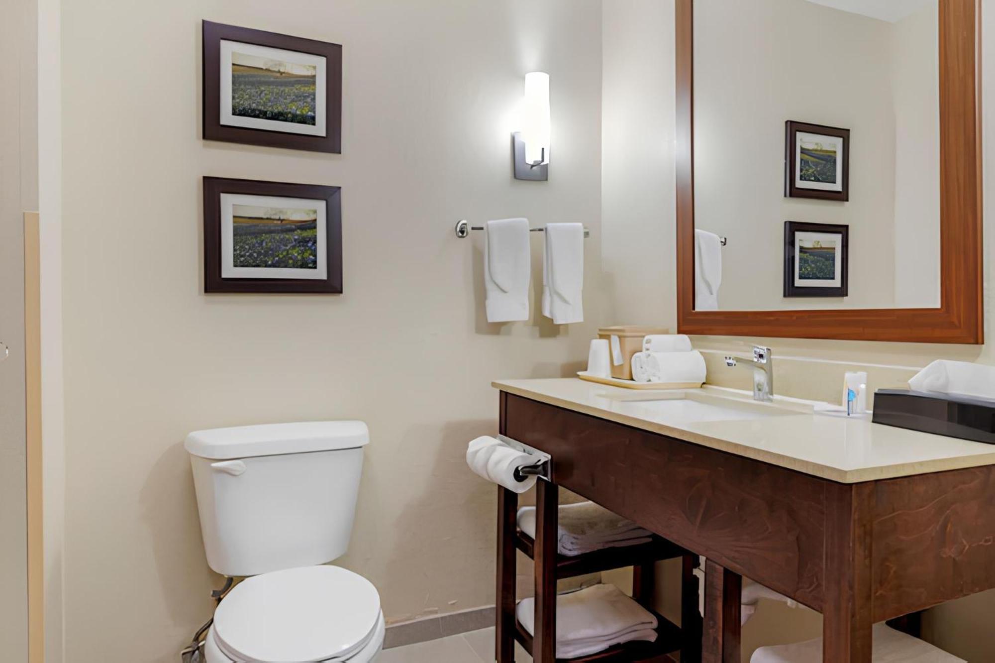 Comfort Suites Benbrook Luaran gambar
